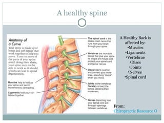 A healthy spine A Healthy Back is affected by: Muscles Ligaments Vertebrae Discs Joints Nerves  Spinal cord From:  Chiropractic Resource Organization 