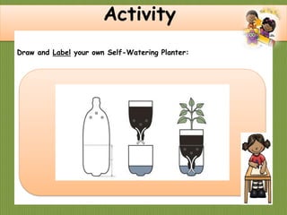Activity
Draw and Label your own Self-Watering Planter:
 