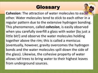 Cohesion: The attraction of water molecules to each
other. Water molecules tend to stick to each other in a
regular pattern due to the extensive hydrogen bonding.
This phenomenon, called cohesion, is easily observed
when you carefully overfill a glass with water (by just a
little bit!) and observe the water molecules holding
together above the rim; this is called a meniscus
(eventually, however, gravity overcomes the hydrogen
bonds and the water molecules spill down the side of
the glass). Likewise, the cohesive property of water
allows tall trees to bring water to their highest leaves
from underground sources.
Glossary
 