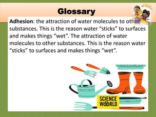 Adhesion: the attraction of water molecules to other
substances. This is the reason water “sticks” to surfaces
and makes things “wet”. The attraction of water
molecules to other substances. This is the reason water
“sticks” to surfaces and makes things “wet”.
Glossary
 