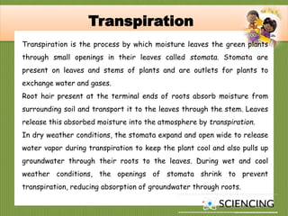 Transpiration
Transpiration is the process by which moisture leaves the green plants
through small openings in their leaves called stomata. Stomata are
present on leaves and stems of plants and are outlets for plants to
exchange water and gases.
Root hair present at the terminal ends of roots absorb moisture from
surrounding soil and transport it to the leaves through the stem. Leaves
release this absorbed moisture into the atmosphere by transpiration.
In dry weather conditions, the stomata expand and open wide to release
water vapor during transpiration to keep the plant cool and also pulls up
groundwater through their roots to the leaves. During wet and cool
weather conditions, the openings of stomata shrink to prevent
transpiration, reducing absorption of groundwater through roots.
 