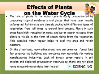 q
• The role of plants in the water cycle is easily demonstrated by
comparing tropical rainforests and places that have been heavily
deforested. Rainforests are densely packed with different types of
vegetation, from tall trees to ground level grasses. Plants in such
areas have high transpiration rates, and water vapour released from
plants is visible in the form of steam rising from the vegetation.
This expelled water vapour helps to cool the area and retain
moisture.
• On the other hand, many urban areas have cut down vast forest land
for constructing buildings and procuring raw materials for various
manufacturing industries. Lack of forest cover results in soil
erosion and depleted groundwater reserves as there are not plant
roots to absorb water deep into the soil.
Effects of Plants
on the Water Cycle
 