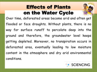 q
Over time, deforested areas become arid and often get
flooded or face droughts. Without plants, there is no
way for surface runoff to percolate deep into the
ground and therefore, the groundwater level keeps
getting depleted. Moreover, no transpiration occurs in
deforested area, eventually leading to low moisture
content in the atmosphere and dry arid environmental
conditions.
Effects of Plants
on the Water Cycle
 
