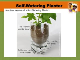 Here is an example of a Self-Watering Planter:
Self-Watering Planter
 