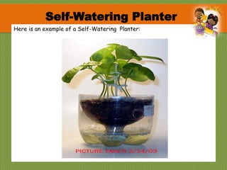 Here is an example of a Self-Watering Planter:
Self-Watering Planter
 