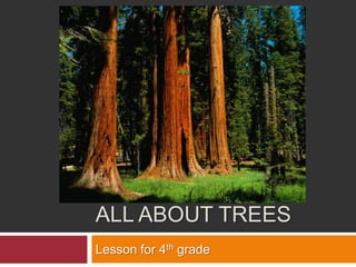 All About trees Lesson for 4th grade  