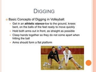 DIGGING
 Basic Concepts of Digging in Volleyball:
 Get in an athletic stance-low to the ground, knees
bent, on the balls of the feet ready to move quickly
 Hold both arms out in front, as straight as possible
 Clasp hands together so they do not come apart when
hitting the ball
 Arms should form a flat platform
 