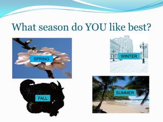 What season do YOU like best?WINTERSPRINGSUMMERFALL