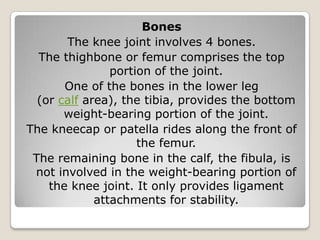 Bones
The knee joint involves 4 bones.
The thighbone or femur comprises the top
portion of the joint.
One of the bones in the lower leg
(or calf area), the tibia, provides the bottom
weight-bearing portion of the joint.
The kneecap or patella rides along the front of
the femur.
The remaining bone in the calf, the fibula, is
not involved in the weight-bearing portion of
the knee joint. It only provides ligament
attachments for stability.
 
