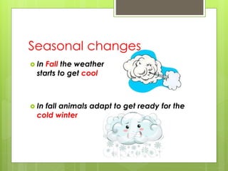Seasonal changes
 In Fall the weather
starts to get cool
 In fall animals adapt to get ready for the
cold winter
 