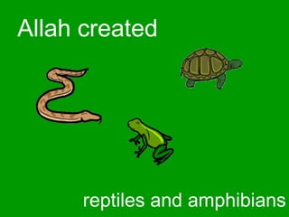 Allah created
reptiles and amphibians
 