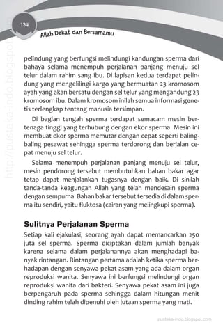 134
Allah Dekat dan Bersamamu
pelindung yang berfungsi melindungi kandungan sperma dari
bahaya selama menempuh perjalanan panjang menuju sel
telur dalam rahim sang ibu. Di lapisan kedua terdapat pelin-
dung yang mengelilingi kargo yang bermuatan 23 kromosom
ayah yang akan bersatu dengan sel telur yang mengandung 23
kromosom ibu. Dalam kromosom inilah semua informasi gene-
tis terlengkap tentang manusia tersimpan.
Di bagian tengah sperma terdapat semacam mesin ber-
tenaga tinggi yang terhubung dengan ekor sperma. Mesin ini
membuat ekor sperma memutar dengan cepat seperti baling-
baling pesawat sehingga sperma terdorong dan berjalan ce-
pat menuju sel telur.
Selama menempuh perjalanan panjang menuju sel telur,
mesin pendorong tersebut membutuhkan bahan bakar agar
tetap dapat menjalankan tugasnya dengan baik. Di sinilah
tanda-tanda keagungan Allah yang telah mendesain sperma
dengan sempurna. Bahan bakar tersebut tersedia di dalam sper-
ma itu sendiri, yaitu ﬂuktosa (cairan yang melingkupi sperma).
Sulitnya Perjalanan Sperma
Setiap kali ejakulasi, seorang ayah dapat memancarkan 250
juta sel sperma. Sperma diciptakan dalam jumlah banyak
karena selama dalam perjalanannya akan menghadapi ba-
nyak rintangan. Rintangan pertama adalah ketika sperma ber-
hadapan dengan senyawa pekat asam yang ada dalam organ
reproduksi wanita. Senyawa ini berfungsi melindungi organ
reproduksi wanita dari bakteri. Senyawa pekat asam ini juga
berpengaruh pada sperma sehingga dalam hitungan menit
dinding rahim telah dipenuhi oleh jutaan sperma yang mati.
pustaka-indo.blogspot.com
http://pustaka-indo.blogspot.com
 