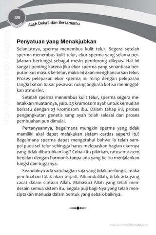 136
Allah Dekat dan Bersamamu
Penyatuan yang Menakjubkan
Selanjutnya, sperma menembus kulit telur. Segera setelah
sperma menembus kulit telur, ekor sperma yang selama per-
jalanan berfungsi sebagai mesin pendorong dilepas. Hal ini
sangat penting karena jika ekor sperma yang senantiasa ber-
putar ikut masuk ke telur, maka ini akan menghancurkan telur.
Proses pelepasan ekor sperma ini mirip dengan pelepasan
tangki bahan bakar pesawat ruang angkasa ketika meninggal-
kan atmosfer.
Setelah sperma menembus kulit telur, sperma segera me-
letakkan muatannya, yaitu 23 kromosom ayah untuk kemudian
bersatu dengan 23 kromosom ibu. Dalam tahap ini, proses
pengangkutan genetis sang ayah telah selesai dan proses
pembuahan pun dimulai.
Pertanyaannya, bagaimana mungkin sperma yang tidak
memiliki akal dapat melakukan sistem cerdas seperti itu?
Bagaimana sperma dapat mengetahui bahwa ia telah sam-
pai pada sel telur sehingga harus melepaskan bagian ekornya
yang tidak dibutuhkan lagi? Coba kita pikirkan, ratusan sistem
berjalan dengan harmonis tanpa ada yang keliru menjalankan
fungsi dan tugasnya.
Seandainya ada satu bagian saja yang tidak berfungsi, maka
pembuahan tidak akan terjadi. Alhamdulillah, tidak ada yang
cacat dalam ciptaan Allah. Mahasuci Allah yang telah men-
desain semua sistem itu. Segala puji bagi-Nya yang telah men-
ciptakan manusia dalam bentuk yang sebaik-baiknya.
pustaka-indo.blogspot.com
http://pustaka-indo.blogspot.com
 