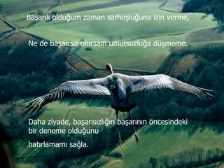 Allahim | PPS