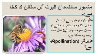 ‫ک‬ ‫کا‬ ‫سٹائن‬ ‫آئن‬ ‫البرٹ‬ ‫سائنسدان‬ ‫مشہور‬‫ہنا‬
‫ہے‬:-
‫کی‬ ‫شہد‬ ‫سے‬ ‫ارض‬ ‫کرہ‬ ‫اگر‬
‫تو‬ ‫جائے‬ ‫ہو‬ ‫ختم‬ ‫وجود‬ ‫کا‬ ‫مکھی‬
‫چار‬ ‫صرف‬ ‫انسان‬(4)‫تک‬ ‫سال‬
‫ہے۔‬ ‫سکتا‬ ‫رہ‬ ‫زندہ‬
‫زیرگی‬((pollination‫کیا‬
‫ہے؟‬
 