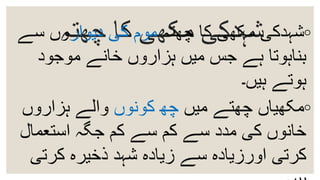 ‫چھتہ‬ ‫کا‬ ‫مکھی‬ ‫شہدکی‬ ◦‫مکھی‬ ‫شہدکی‬‫چھتہ‬ ‫کا‬‫دیوار‬ ‫کی‬ ‫موم‬‫سے‬ ‫وں‬
‫بناہوتا‬‫میں‬ ‫جس‬ ‫ہے‬‫ہزاروں‬‫موجود‬ ‫خانے‬
‫ہیں‬ ‫ہوتے‬‫۔‬
◦‫میں‬ ‫چھتے‬ ‫مکھیاں‬‫چھ‬‫کونوں‬‫والے‬‫ہزاروں‬
‫استعمال‬ ‫جگہ‬ ‫کم‬ ‫سے‬ ‫کم‬ ‫سے‬ ‫مدد‬ ‫کی‬ ‫خانوں‬
‫کرتی‬ ‫ذخیرہ‬ ‫شہد‬ ‫زیادہ‬ ‫سے‬ ‫اورزیادہ‬ ‫کرتی‬
 