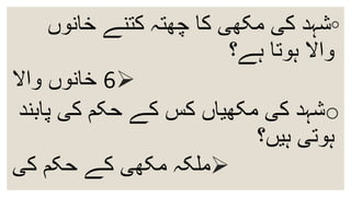 ◦‫خانوں‬ ‫کتنے‬ ‫چھتہ‬ ‫کا‬ ‫مکھی‬ ‫کی‬ ‫شہد‬
‫ہے؟‬ ‫ہوتا‬ ‫واال‬
6‫واال‬ ‫خانوں‬
o‫پ‬ ‫کی‬ ‫حکم‬ ‫کے‬ ‫کس‬ ‫مکھیاں‬ ‫کی‬ ‫شہد‬‫ابند‬
‫ہیں؟‬ ‫ہوتی‬
‫کی‬ ‫حکم‬ ‫کے‬ ‫مکھی‬ ‫ملکہ‬
 