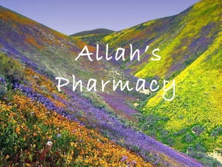 Allah’s Pharmacy   