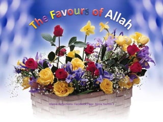 TheFavours of Allah Islamic Reflections- FaceBook Page- Xenia Yasmin Y 