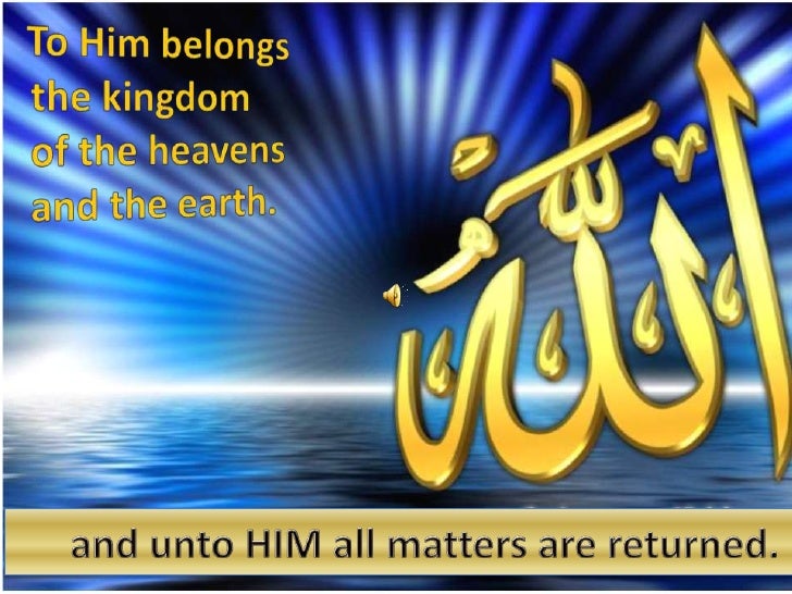 Allah's wonderful creations by Ishtyag Al-Subhi Allah's wonderful creations by Ishtyag Al-Subhi