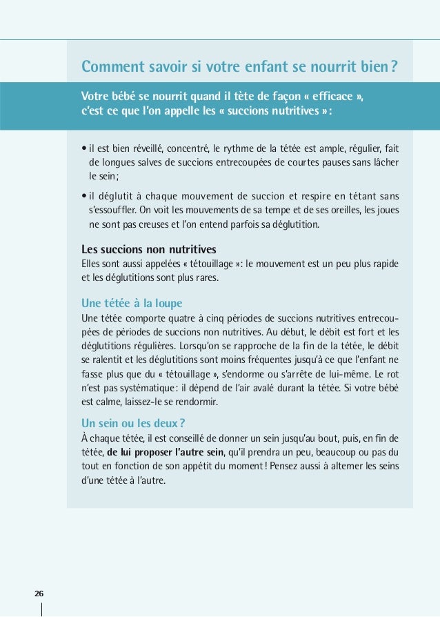 Le Guide De L Allaitement Maternel