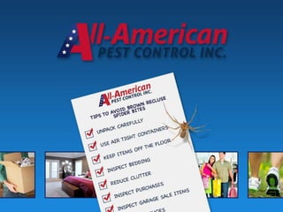 All American Pest Control Shares Tips For Avoiding Brown Recluse Bites
