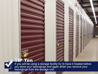 All American Pest Control Shares Tips For Avoiding Brown Recluse Bites