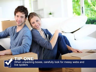 All American Pest Control Shares Tips For Avoiding Brown Recluse Bites