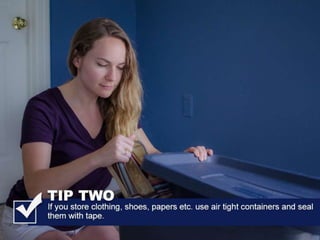 All American Pest Control Shares Tips For Avoiding Brown Recluse Bites