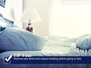 All American Pest Control Shares Tips For Avoiding Brown Recluse Bites