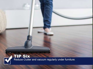 All American Pest Control Shares Tips For Avoiding Brown Recluse Bites