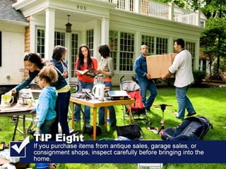 All American Pest Control Shares Tips For Avoiding Brown Recluse Bites