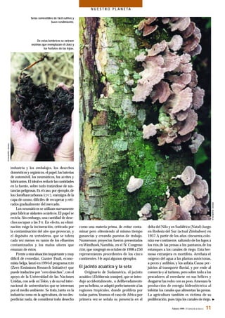 Febrero 1999- El Correo de la UNESCO 11
N U E S T R O P L A N E T A
industria y los embalajes, los desechos
domésticos y orgánicos,el papel,las baterías
de automóvil, los neumáticos, los aceites y
lubricantes. El ideal esreducir las cantidades
en la fuente, sobre todo tratándose de sus-
tancias peligrosas.Es el caso,por ejemplo,de
los cloroﬂuorcarbonos (CFC),enemigos dela
capa de ozono, difíciles de recuperar y reti-
rados gradualmente del mercado.
Los neumáticos se utilizan nuevamente
para fabricar aislantes acústicos.El papel se
recicla. Sin embargo,una cantidad de dese-
chos escapan a las 3 R. En efecto, su elimi-
nación exige la incineración, criticada por
la contaminación del aire que provocan, y
el depósito en vertederos, que se tolera
cada vez menos en razón de los eﬂuentes
contaminados y los malos olores que
emanan de éstos.
Frente a estasituación inquietante y muy
difícil de remediar, Gunter Pauli, econo-
mista belga, lanzó en 1994 el programaZERI
(Zero Emissions Research Initiative) que
puede traducirsepor “cero desechos”,con el
apoyo de la Universidad de las Naciones
Unidas, con sede enTokio,y de su red inter-
nacional de universitarios que se interesan
por el medio ambiente. Se trata, tanto en la
industria como en la agricultura,de no des-
perdiciar nada, de considerar todo desecho
como una materia prima, de evitar conta-
minar pero obteniendo al mismo tiempo
ganancias y creando puestos de trabajo.
Numerosos proyectos fueron presentados
en Windhoek,Namibia, en el IV Congreso
ZERI,que congregó en octubre de 1998 a250
representantes procedentes de los cinco
continentes. He aquí algunos ejemplos.
El jacinto acuático y la seta
Originario de Sudamérica, el jacinto
acuático (Eichhornia crassipes), que se intro-
dujo accidentalmente, o deliberadamente
por su belleza,se adaptó perfectamente a las
regiones tropicales, donde prolifera por
todas partes.Veamos el caso de Africa:por
primera vez se señala su presencia en el
delta del Nilo y en Sudáfrica (Natal),luego
en Rodesia del Sur (actual Zimbabwe) en
1937.A partir de los años cincuenta,colo-
niza ese continente, saltando de los lagos a
los ríos,de las presas a los pantanos,de los
estanques a los canales de riego. Esta her-
mosa extranjera es mortífera. Arrebata el
oxígeno del agua a las plantas autóctonas,
a peces y anﬁbios,y los asﬁxia.Causa per-
juicios al transporte ﬂuvial, y por ende al
comercio y al turismo, pero sobre todo a los
pescadores al enredarse en sus hélices y
desgarrar las redes con su peso.Amenaza la
producción de energía hidroeléctrica al
infestar los canales que alimentan las presas.
La agricultura también es víctima de su
proliferación,pues tapa los canales de riego.
Setas comestibles de fácil cultivo y
buen rendimiento.
De estas lombrices se extraen
enzimas que reemplazan el cloro y
los fosfatos de las lejías.
 