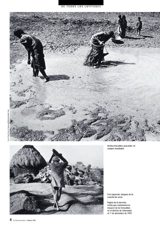 4 El Correo de la UNESCO - Febrero 1999
D E T O D A S L A S L A T I T U D E S
Arriba,intocables pescando en
campos inundados.
A la izquierda, después de la
cosecha de arroz.
Página de la derecha,
estela que conmemora la
masacre de 62 intocables
en el distrito de Jeharabad,
el 1º de diciembre de 1997.
 