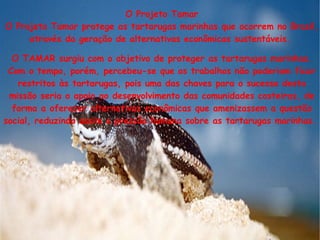 O Projeto Tamar O Projeto Tamar protege as tartarugas marinhas que ocorrem no Brasil, através da geração de alternativas econômicas sustentáveis.  O TAMAR surgiu com o objetivo de proteger as tartarugas marinhas. Com o tempo, porém, percebeu-se que os trabalhos não poderiam ficar restritos às tartarugas, pois uma das chaves para o sucesso desta missão seria o apoio ao desenvolvimento das comunidades costeiras, de forma a oferecer alternativas econômicas que amenizassem a questão social, reduzindo assim a pressão humana sobre as tartarugas marinhas.  