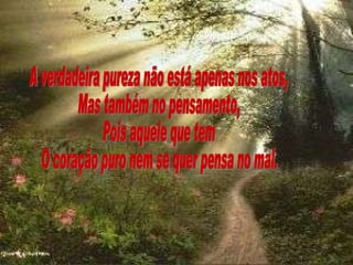 A verdadeira pureza não está apenas nos atos, Mas também no pensamento, Pois aquele que tem  O coração puro nem se quer pensa no mal. 