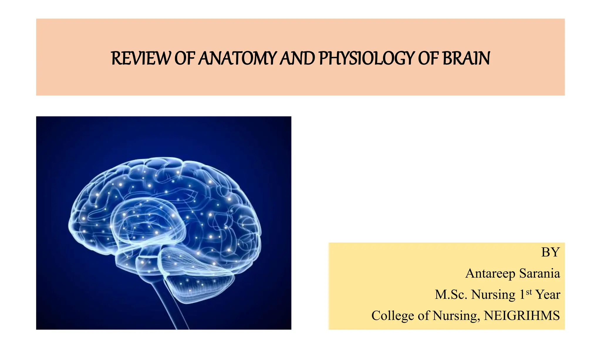 REVIEW OF ANATOMY AND PHYSIOLOGY OF BRAIN.pptx