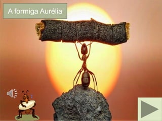 A formiga Aurélia 
 