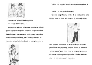 Figura 1 3 0 . Gestul omului mândru de proprietatea sa

Figura 131. Cel care intimidează
facem o fotografie unui prieten de-al nostru şi noii sale
maşini, bărci cu motor sau case ori alt obiect personal,

Figura 129, Revendicarea drepturilor
GESTURI TERITORIALE
Oamenii se reazemă de alţii sau de diferite obiecte
pentru a-şi arăta drepturile teritoriale asupra acestora.
Gestul poale fi, de asemenea, utilizat ca o metodă de
d o mi n a re sa u in ti mi da re , da că o b ie ctu l d e ca re n e
rezemăm este al altcuiva. Dacă, de exemplu, dorim să
vom constata numaidecât că el se va rezema de recent
procuratele sale proprietăţi, va pune piciorul pe ele sau le
va îmbrăţişa (Figura 130), Când îşi atinge proprietatea,
ea devine o prelungire a trupului său, arătând astfel si
altora că obiectul respectiv îi aparţine.

 