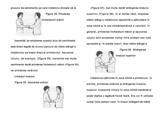 plusului de sentimente pe care iniţiatorul doreşte să le

Figura 34, Prinderea
încheieturii mâinii

(Figura 37 ), mai mul te decât strângerea braţu l u i
s u p e r i o r ( F i g u r a 3 6 ) . î n a l d o i l e a r â n d , mişcarea
mâinii stângi a iniţiatorului reprezintă o pătrundere în
zona intimă şi în cea intimă/res t r â n s ă a c e l u i l a l t , î n
g e n e r a l , p ri n d e re a î n cheieturii mâinii şi apu ca re a

transmită, iar amploarea acestui plus de senti mente
este direct legată de drumul parcurs de mâna stângă a
iniţiatorului pe braţul drept al primitorului. Apucarea
c o t u l u i , d e e x e m p l u , (Figura 35 ), tran smi te mai multe

co tu l ui su n t ac c e p t a t e n u m a i î n t r e prieteni sau rude
apropiate şi, în aceste cazu ri, doar mâna stângă a

Figura 36. Strângerea
braţului superior

sentimente decât prinderea încheie turii mâinii (Figura 34),
iar prinderea umărului
Limbajul trupului

Figura 35. Apucarea cotului

iniţiatorului pătrunde în zona intimă a primitoru lu i , în
sch i mb , p rin d e rea umărului şi strânge r e a b r a ţ u l u i
s u p e r i o r î n s e a m n ă i n t r a r e î n zona intimă restrânsă şi
poate implica o legătură f i z i c ă r e a l ă . E l e v o r f i utilizate
numai între oameni care, în timpul strângerii de mână,

 