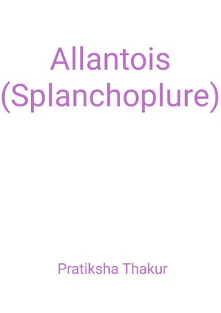 Allantois (Splanchoplure) 