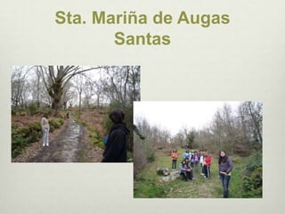 Sta. Mariña de Augas Santas