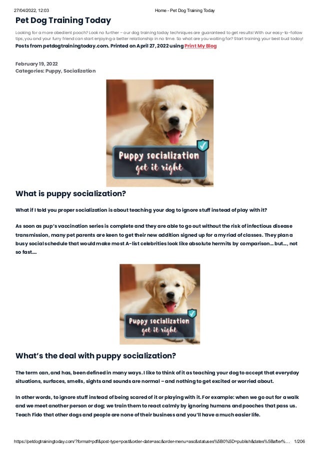 27/04/2022, 12:03 Home - Pet Dog Training Today
https://petdogtrainingtoday.com/?format=pdf&post-type=post&order-date=asc&order-menu=asc&statuses%5B0%5D=publish&dates%5Bafter%… 1/206
Pet Dog Training Today
Looking for a more obedient pooch? Look no further – our dog training today techniques are guaranteed to get results! With our easy-to-follow
tips, you and your furry friend can start enjoying a better relationship in no time. So what are you waiting for? Start training your best bud today!
Posts from petdogtrainingtoday.com. Printed on April 27, 2022 using Print My Blog
February 19, 2022
Categories: Puppy, Socialization
What is puppy socialization?
What if I told you proper socialization is about teaching your dog to ignore stuff instead of play with it?
As soon as pup’s vaccination series is complete and they are able to go out without the risk of infectious disease
transmission, many pet parents are keen to get their new addition signed up for a myriad of classes. They plan a
busy social schedule that would make most A-list celebrities look like absolute hermits by comparison… but…, not
so fast….
What’s the deal with puppy socialization?
The term can, and has, been defined in many ways. I like to think of it as teaching your dog to accept that everyday
situations, surfaces, smells, sights and sounds are normal – and nothing to get excited or worried about. 
In other words, to ignore stuff instead of being scared of it or playing with it. For example: when we go out for a walk
and we meet another person or dog; we train them to react calmly by ignoring humans and pooches that pass us.
Teach Fido that other dogs and people are none of their business and you’ll have a much easier life.
 