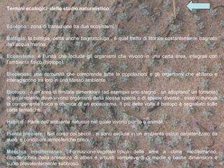 Termini ecologici  dello studio naturalistico : Ecotono  : zona di transizione tra due ecosistemi. Battigia : la battigia, detta anche bagnasciuga , è quel tratto di litorale costantemente bagnato dall’acqua marina. Ecosistema : è l’unità che include gli organismi che vivono in una certa area, integrati con l’ambiente fisico (biotopo). Biocenos i : una comunità che comprende tutte le popolazioni e gli organismi che abitano e interagiscono tra loro in uno stesso ambiente  Biotopo :  è un’area di limitate dimensioni (ad esempio uno stagno , un altopiano, un torrente) di un ambiente dove vivono organismi della stessa specie o di specie diverse . esso è dunque la componente fisica e chimica di un ecosistema. Il più delle volte il biotopo è segnalato sulle carte tematiche. Habitat  : Parte dell’ambiente naturale nel quale vivono piante e animali. Piante pioniere  : Nel corso dei secoli , si sono evolute in un ambiente ostico caratterizzato da suoli  e condizioni atmosferiche critici.  Macchia mediterranea  : Formazione vegetale tipica delle aree a clima mediterraneo, caratterizzata dalla presenza di alberi e arbusti sempreverdi di medie e basse dimensioni e suolo prevalentemente sabbioso. 