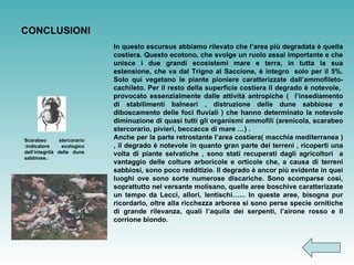 CONCLUSIONI Scarabeo stercorario :indicatore ecologico dell’integrità delle dune sabbiose.. In questo escursus abbiamo rilevato che l’area più degradata è quella costiera. Questo ecotono, che svolge un ruolo assai importante e che unisce i due grandi ecosistemi mare e terra, in tutta la sua estensione, che va dal Trigno al Saccione, è integro  solo per il 5%. Solo qui vegetano le piante pioniere caratterizzate dall’ammofileto-cachileto. Per il resto della superficie costiera il degrado è notevole,  provocato essenzialmente dalle attività antropiche (  l’insediamento di stabilimenti balneari , distruzione delle dune sabbiose e diboscamento delle foci fluviali ) che hanno determinato la notevole diminuzione di quasi tutti gli organismi ammofili (arenicola, scarabeo stercorario, pivieri, beccacce di mare …) .  Anche per la parte retrostante l’area costiera( macchia mediterranea ) , il degrado è notevole in quanto gran parte dei terreni , ricoperti una volta di piante selvatiche , sono stati recuperati dagli agricoltori  a vantaggio delle colture arboricole e orticole che, a causa di terreni sabbiosi, sono poco redditizie. Il degrado è ancor più evidente in quei luoghi ove sono sorte numerose discariche. Sono scomparse così, soprattutto nel versante molisano, quelle aree boschive caratterizzate un tempo da Lecci, allori, lentischi…... In queste aree, bisogna pur ricordarlo, oltre alla ricchezza arborea si sono perse specie ornitiche di grande rilevanza, quali l’aquila dei serpenti, l’airone rosso e il corrione biondo. 