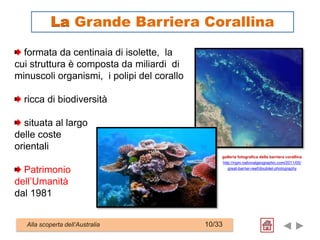 galleria fotografica della barriera corallina
http://ngm.nationalgeographic.com/2011/05/
great-barrier-reef/doubilet-photography
formata da centinaia di isolette, la
cui struttura è composta da miliardi di
minuscoli organismi, i polipi del corallo
ricca di biodiversità
situata al largo
delle coste
orientali
Patrimonio
dell’Umanità
dal 1981
Alla scoperta dell’Australia 10/33
La Grande Barriera Corallina
 