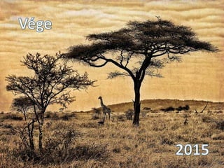 Állatsereglet a szavannán