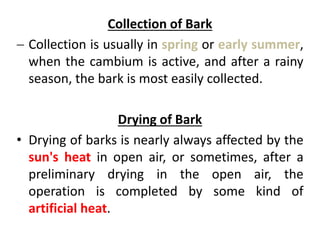 Collection of Bark
 Collection is usually in spring or early summer,
when the cambium is active, and after a rainy
season, the bark is most easily collected.
Drying of Bark
• Drying of barks is nearly always affected by the
sun's heat in open air, or sometimes, after a
preliminary drying in the open air, the
operation is completed by some kind of
artificial heat.
 
