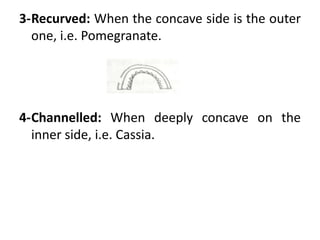 3-Recurved: When the concave side is the outer
one, i.e. Pomegranate.
4-Channelled: When deeply concave on the
inner side, i.e. Cassia.
 