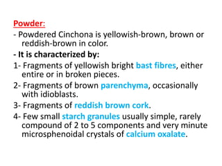 Powder:
- Powdered Cinchona is yellowish-brown, brown or
reddish-brown in color.
- It is characterized by:
1- Fragments of yellowish bright bast fibres, either
entire or in broken pieces.
2- Fragments of brown parenchyma, occasionally
with idioblasts.
3- Fragments of reddish brown cork.
4- Few small starch granules usually simple, rarely
compound of 2 to 5 components and very minute
microsphenoidal crystals of calcium oxalate.
 